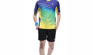 羽毛球比赛2019赛程